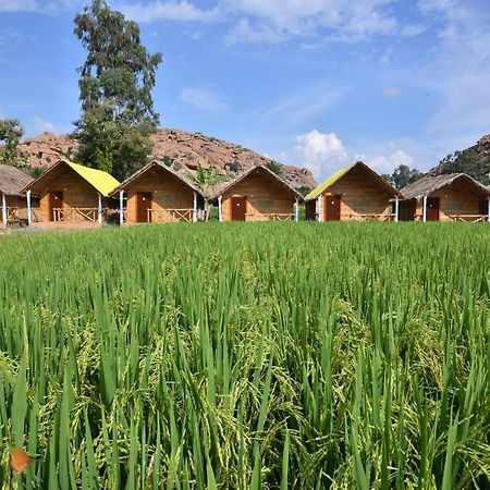 Dream Mango Hampi Hotell Exteriör bild